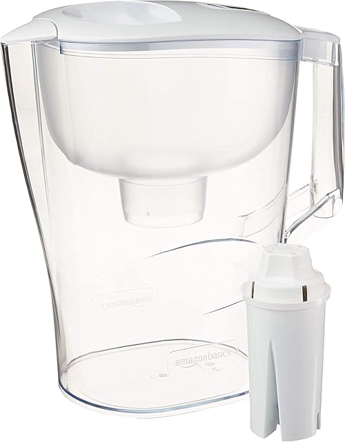 Brita Standard Water Filter Pitcher: Is It Worth It?