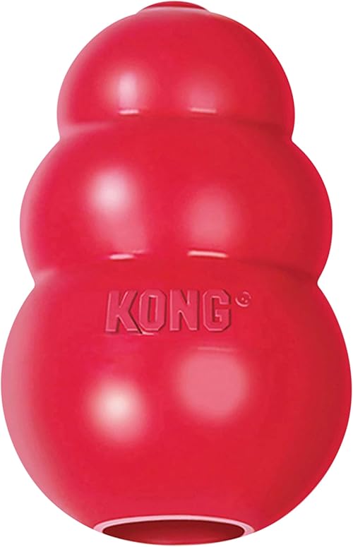 KONG Classic Dog Toy Review: Is It Worth It?