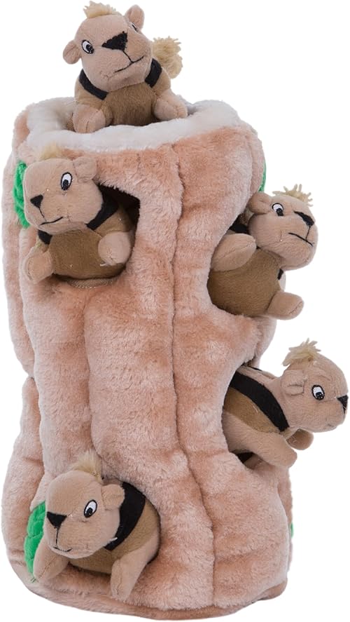 Outward Hound Hide-A-Squirrel Dog Toy: Is It Worth It?