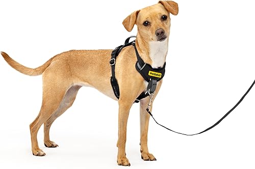 PetSafe Easy Walk Harness Review: Is It Worth It?