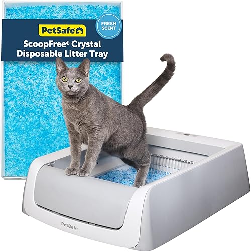 PetSafe ScoopFree Self-Cleaning Litter Box: Is It Worth It?
