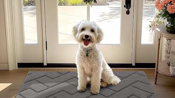 Best Amazon Finds for Dog Owners 2026