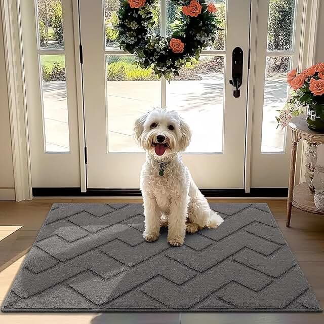 Best Amazon Finds for Dog Owners 2026