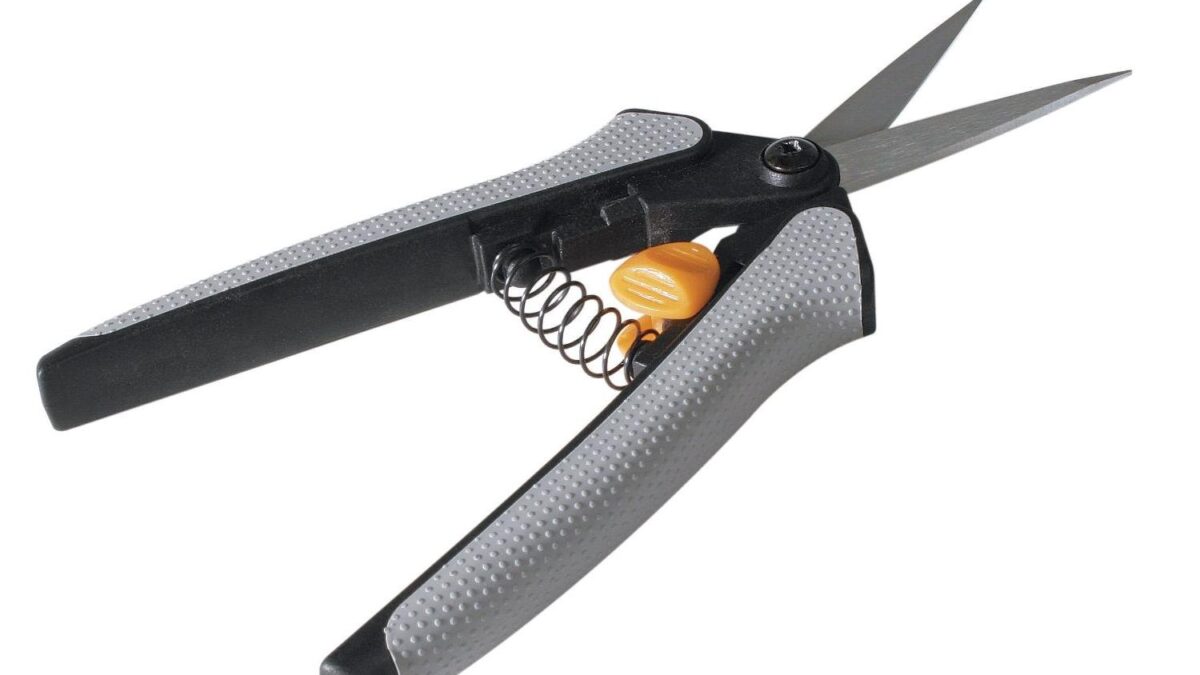 Best Amazon Gardening Essentials 2026